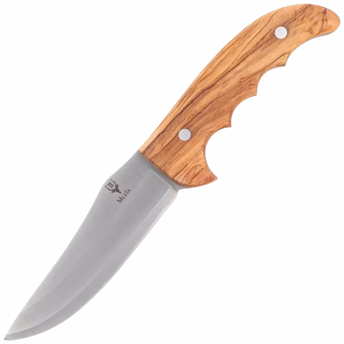 Pevný Nůž Muela Olive Wood Outdoor-12.OL