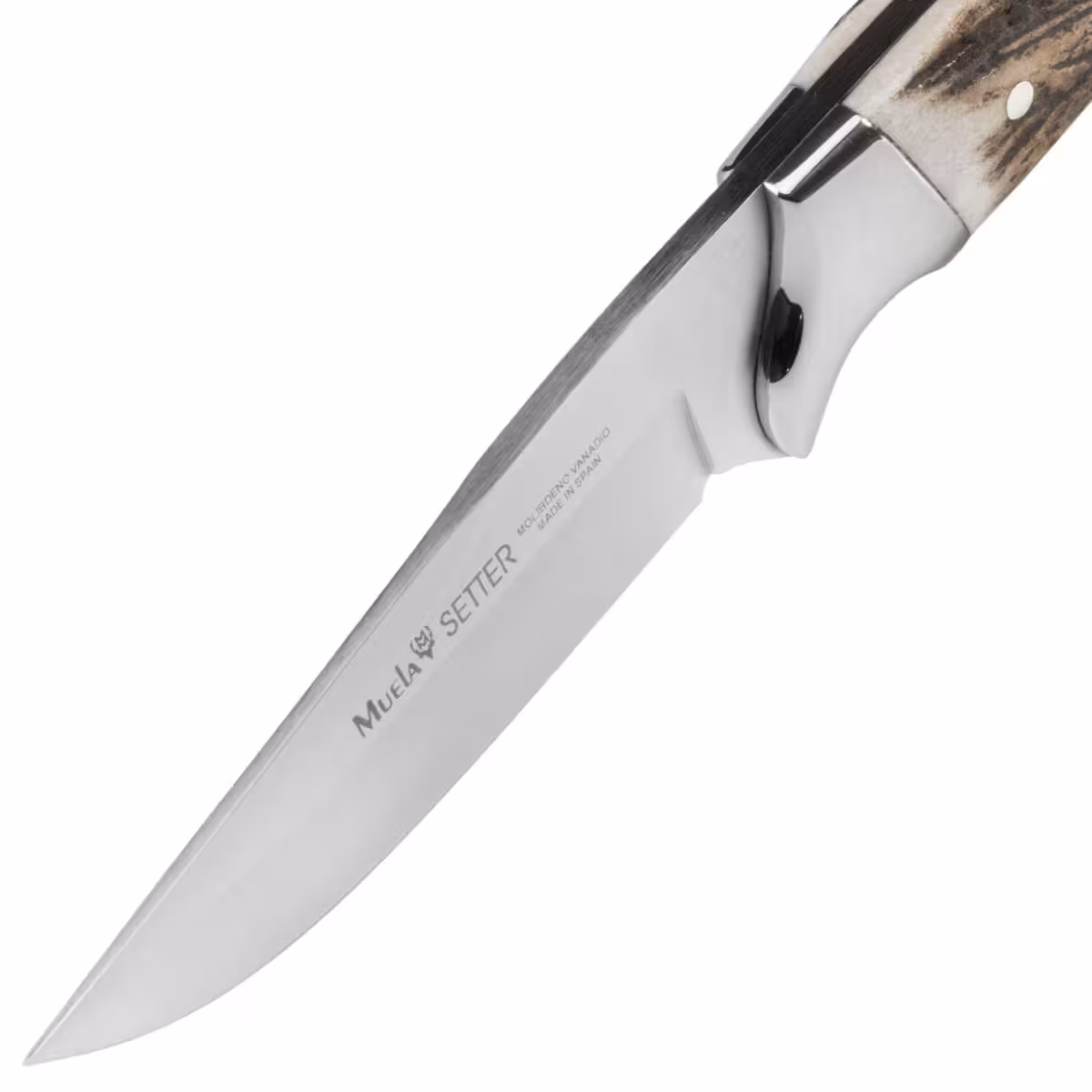 Pevný Nůž Muela SETTER-11A