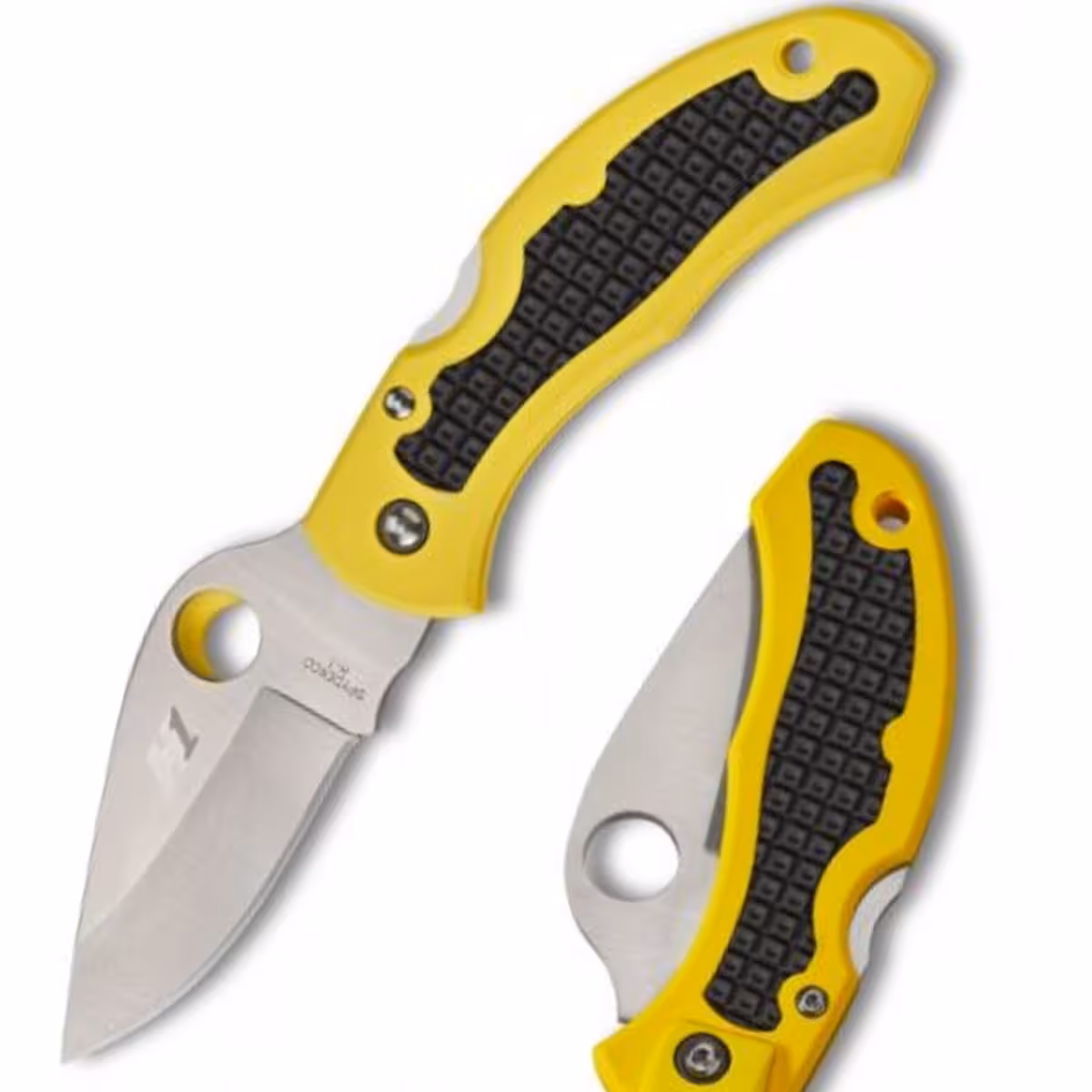 Spyderco-Snap-It-Salt