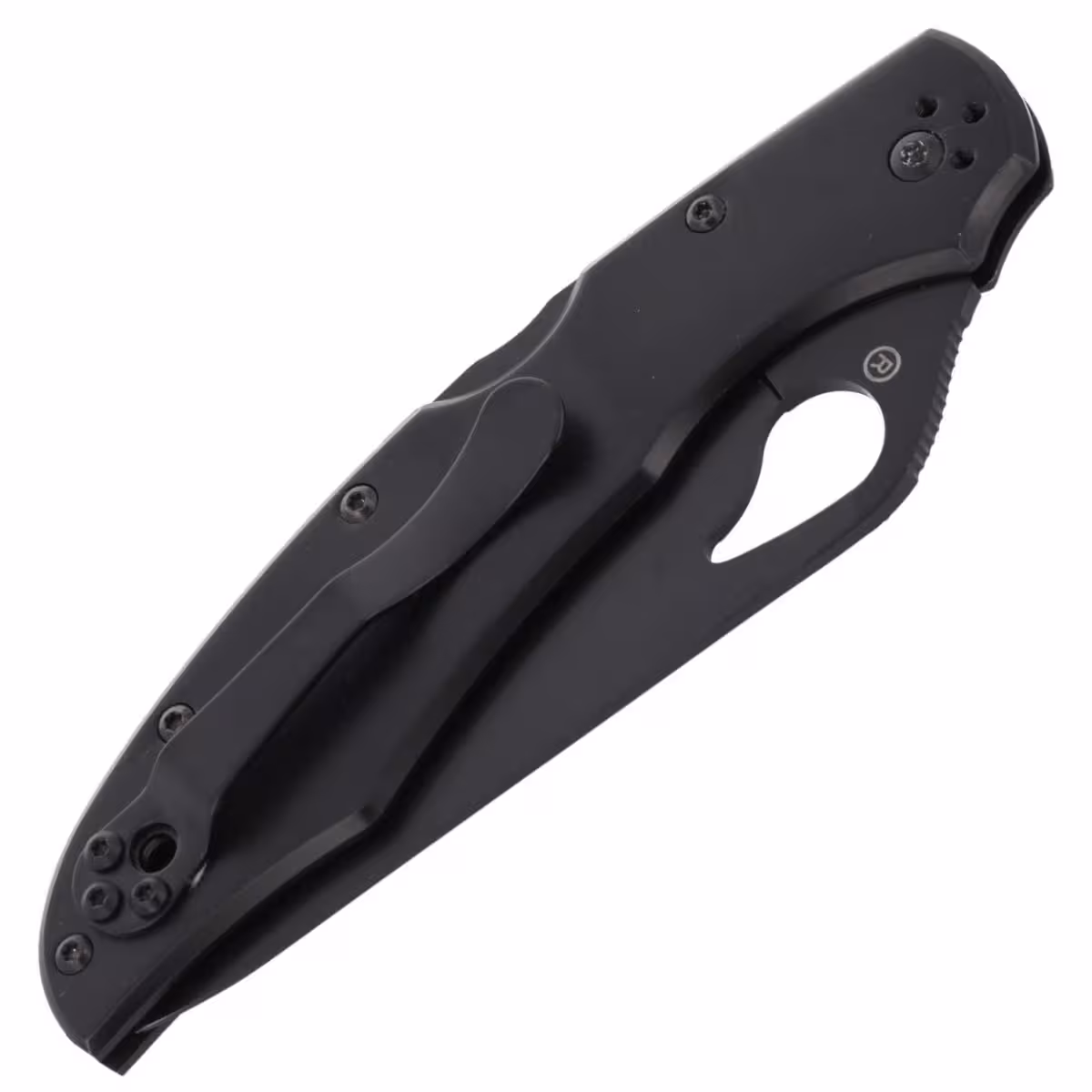 Spyderco-Byrd-Cara-Cara-2-Stainless-Black-Blade-Combination-BY03BKPS2