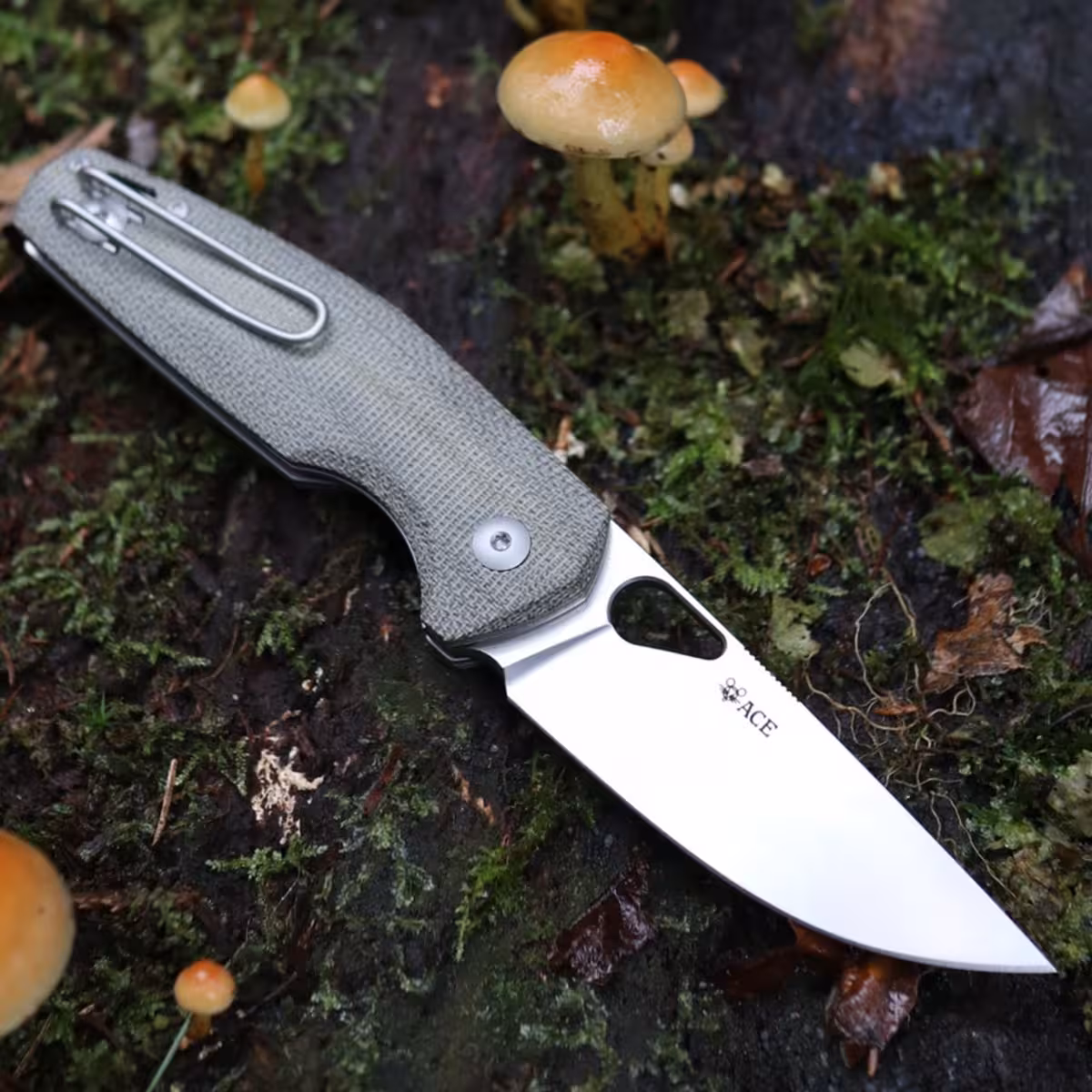 GiantMouse-ACE-NIMBUS-V2