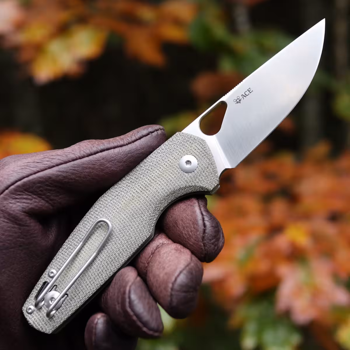 GiantMouse-ACE-NIMBUS-V2