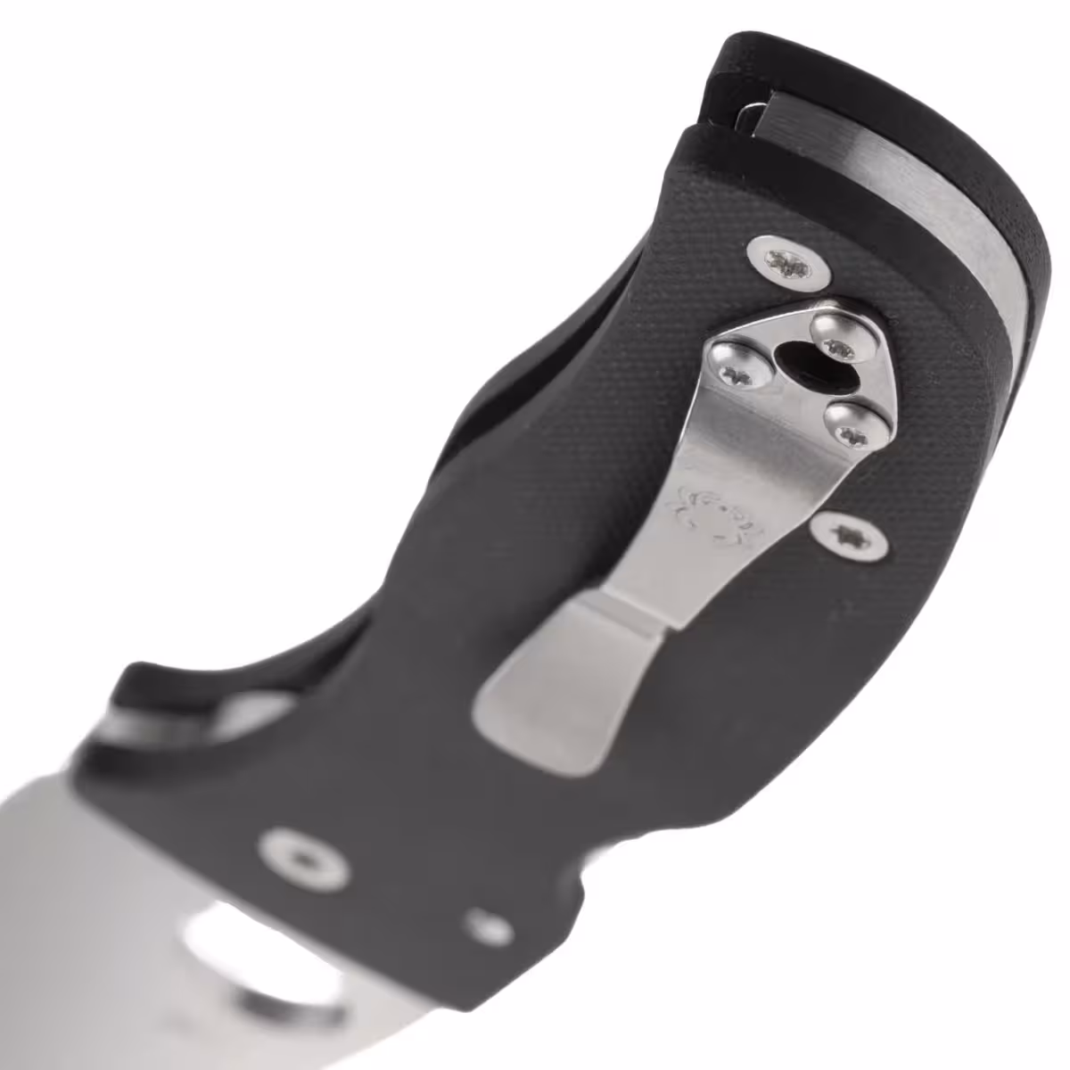 Spyderco-Bodacious-C263GS