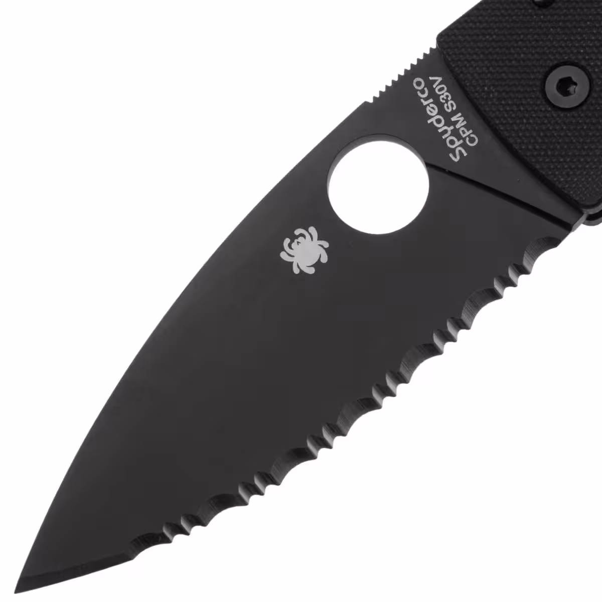 Spyderco-Bodacious-C263GSBK