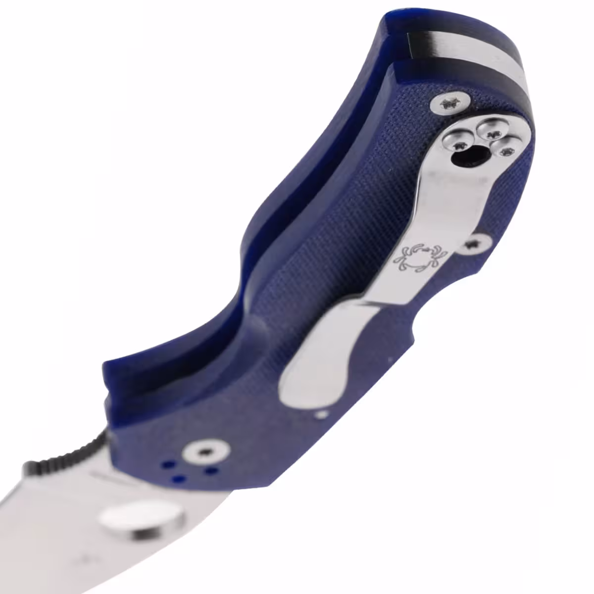 Spyderco-Native-5-C41GPDBL5