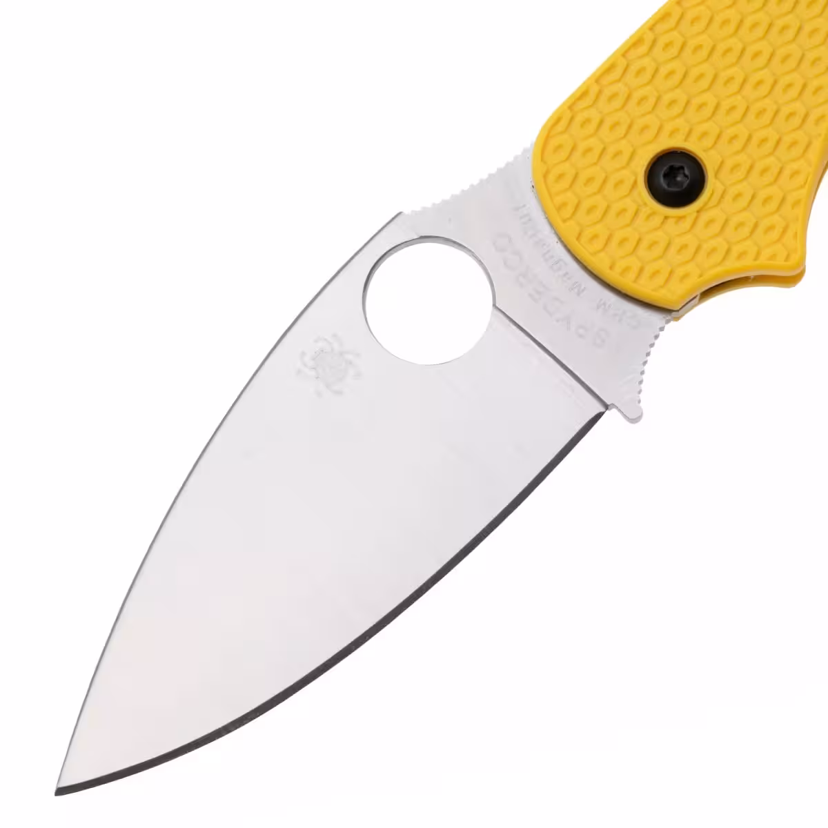 Spyderco-Sage-5-Lightweight-Salt-C123PYL