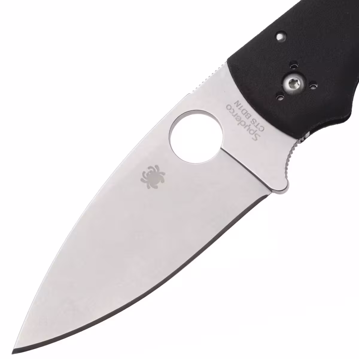 Spyderco-Shaman-Lightweight-C229PBK