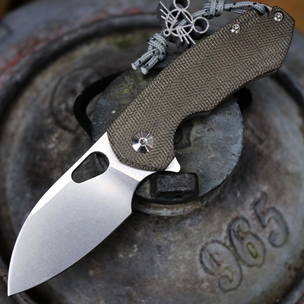 GiantMouse-ACE-RIV
