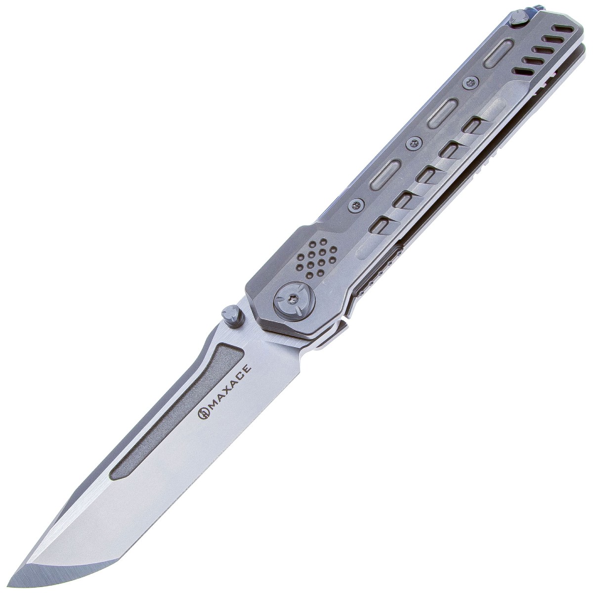 MAXACE-Pterosaur-MPTS01