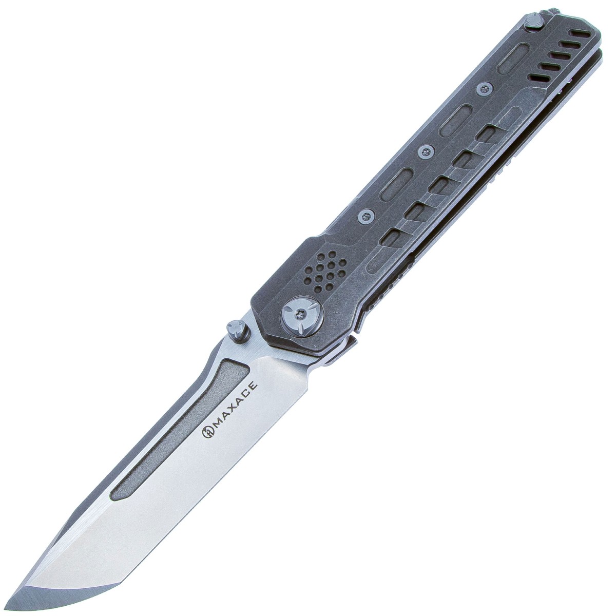 MAXACE-Pterosaur-MPTS02
