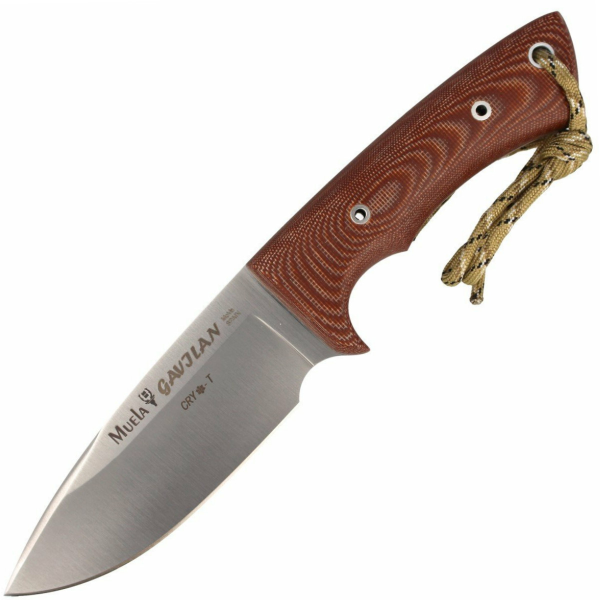 Cuchillo Fijo Muela Gavilán-C