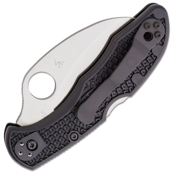 Spyderco-Tasman-Salt-2-C106SBK2