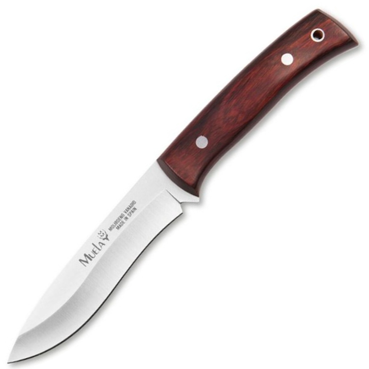 muela-comf-11r-knife