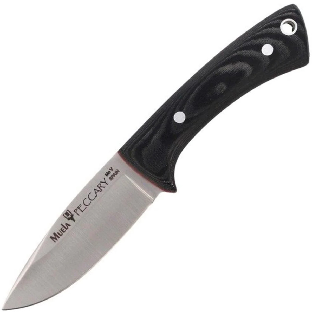 Muela-Peccary-8M