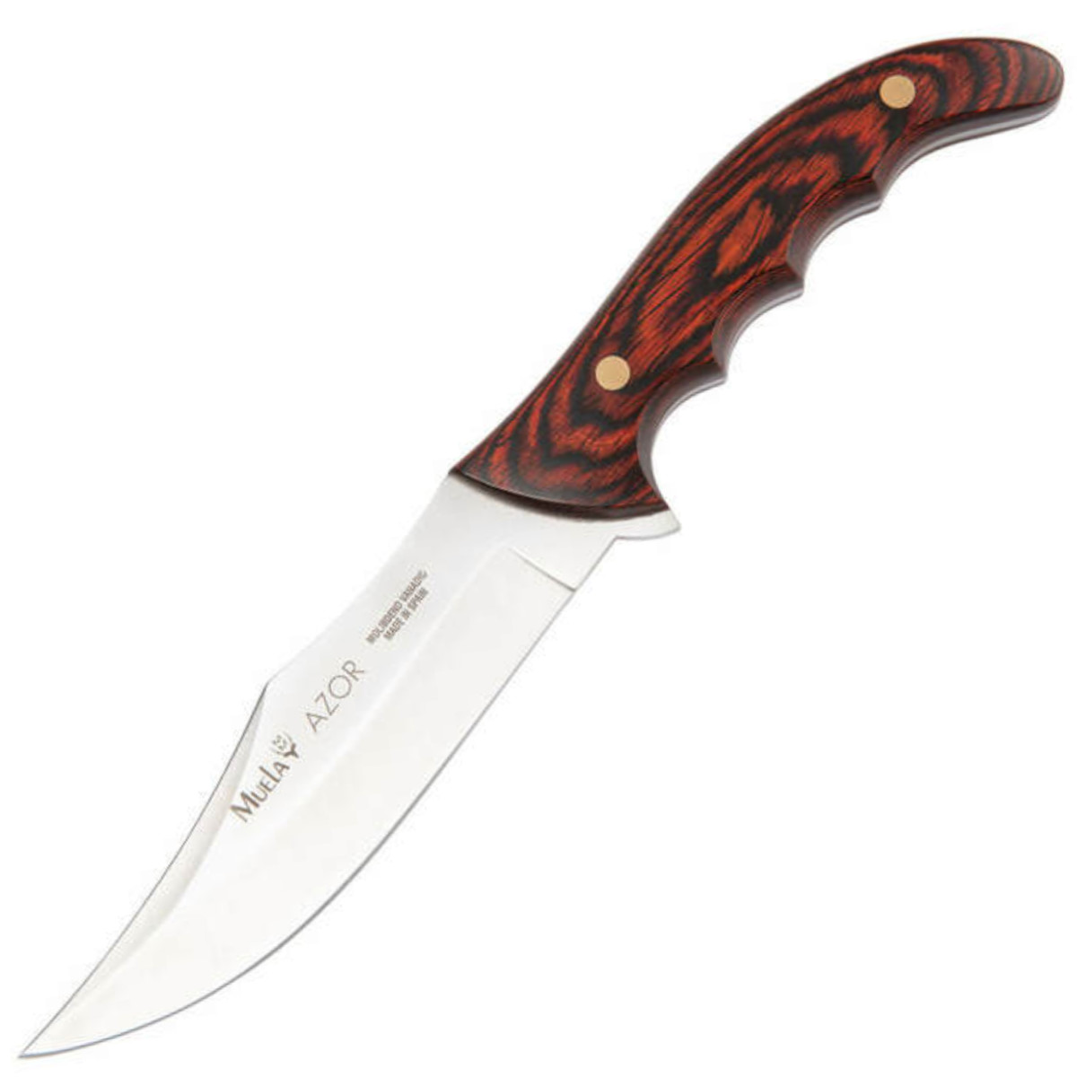 Muela-AZOR-13 