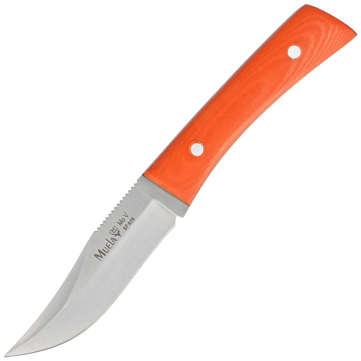 Muela-BWE-8-O-Orange-Micarta-Satin-X50CrMoV15