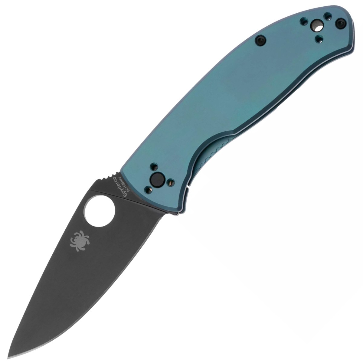 Spyderco-Tenacious-Black-C122TIBLBKP
